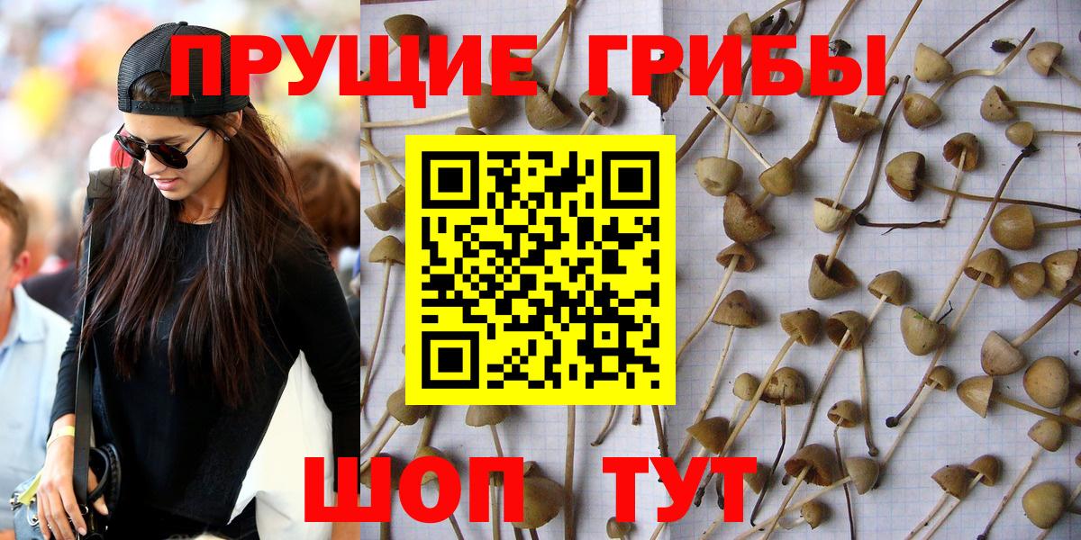 Псилоцибиновые грибы мухоморы  Вход с VPN  Кимовск 