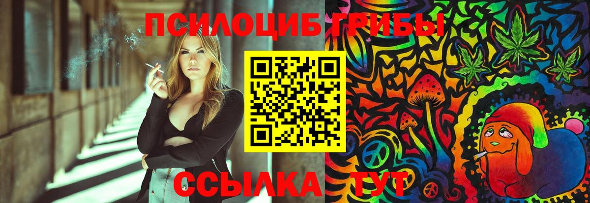 Галлюциногенные грибы GOLDEN TEACHER Кимовск